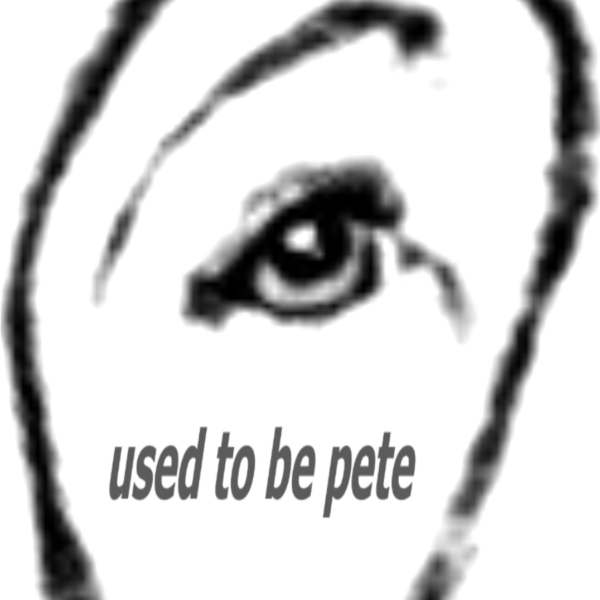 Used To Be Pete - Skinny Women - single download